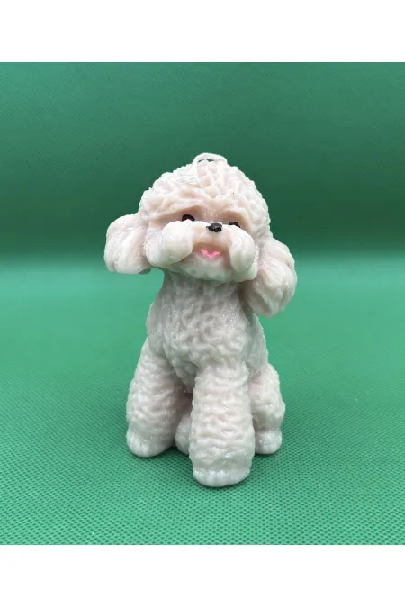 Poodle