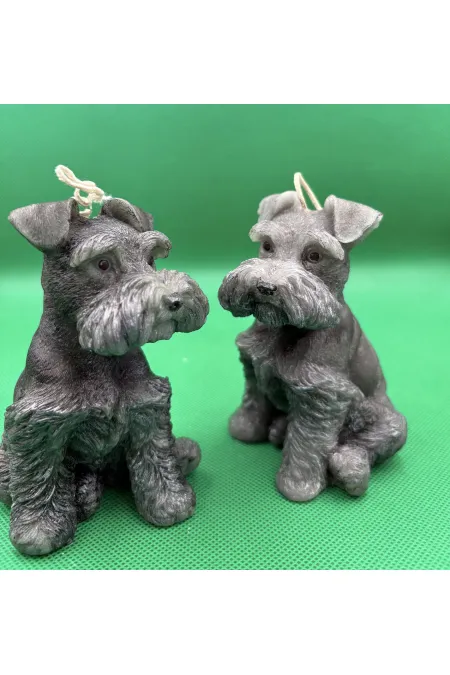 Schnauzer